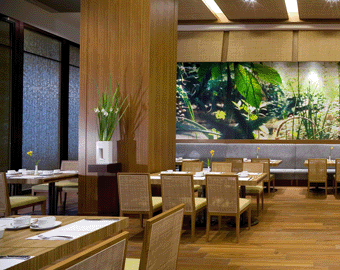 美丽信花园酒店图片相册