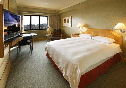 国宾大饭店(高雄店)港景商务房图片