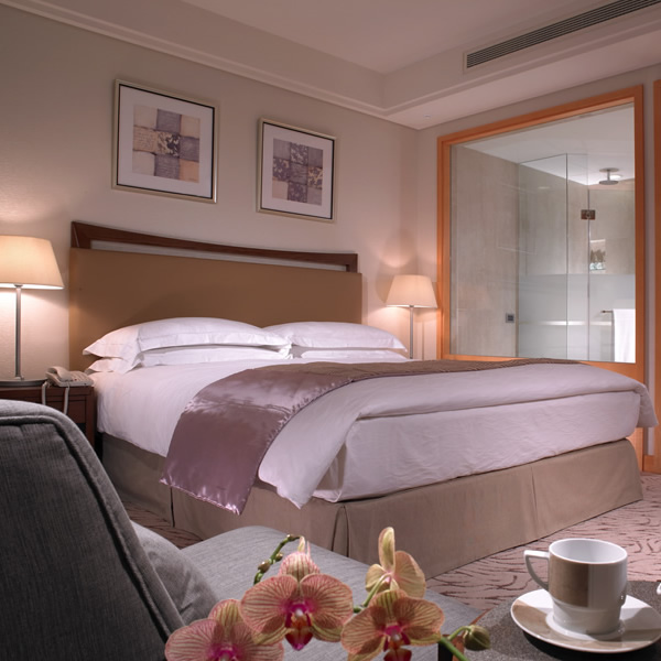 裕元花园酒店雅致客房图片