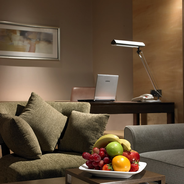 裕元花园酒店尊荣套房图片