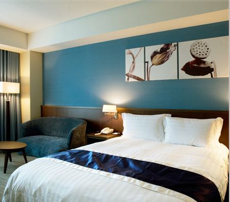 桃禧航空城酒店行政套房图片