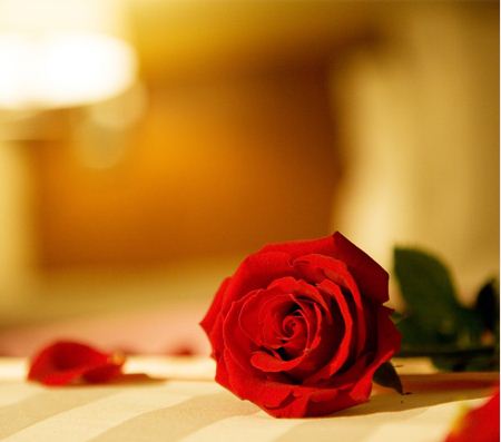 桃禧航空城酒店桃禧套房图片