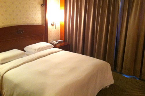 蒲园饭店雅致套房图片