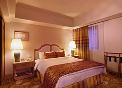 欧华酒店商务房图片