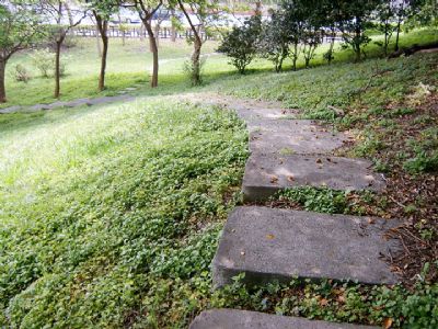 北安公园-石阶小径游园趣
