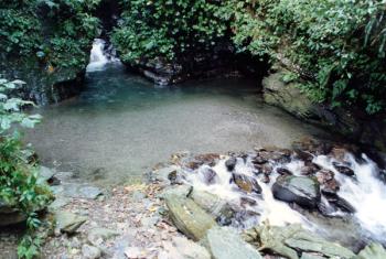 彩蝶谷风景特定区-溪流