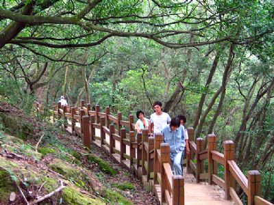 大坑风景区-步道幽深