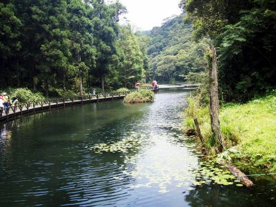 福山植物园-绿野香波