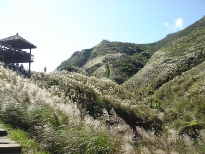 草岭古道-仰望步道